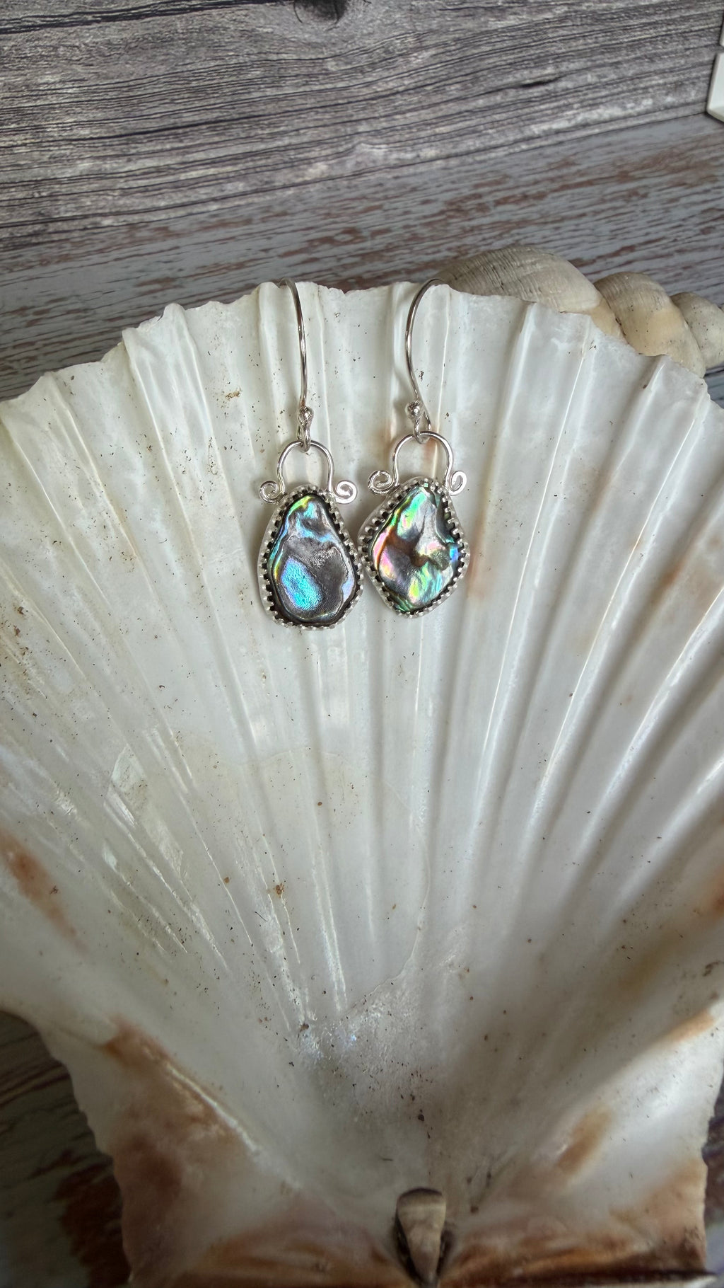 New Zealand Paua shell Earrings